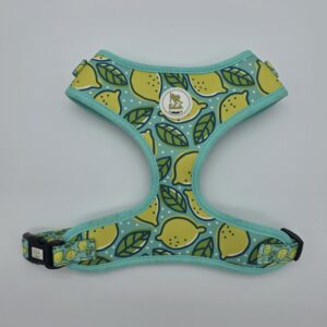 The Peanut - Lemons harness