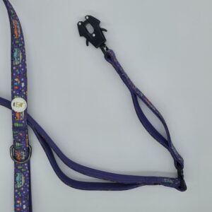 The Wilma - Camping Lead