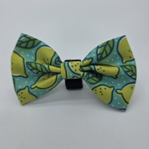 The Peanut - Lemons Bow Tie