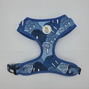 The Max - Walrus harness