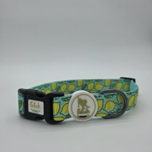 The Peanut - Lemons Collar