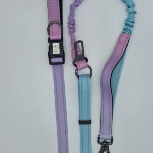 The Morgan - Anti Pull Lead