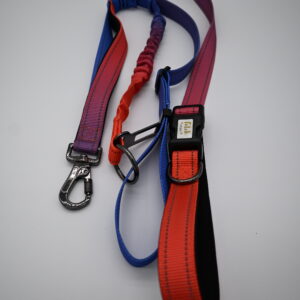 The Chester - Anti Pull Lead