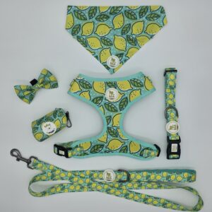 The Peanut - Lemon Bundle